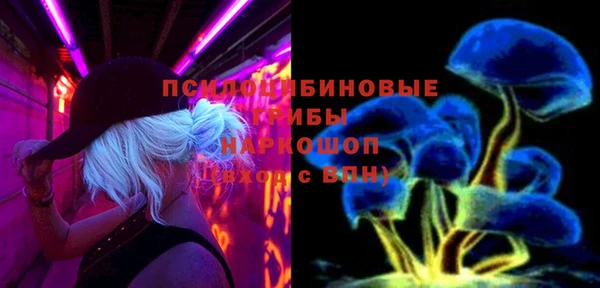 СК Горно-Алтайск