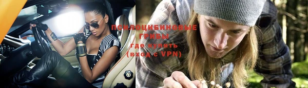 мдпв Горнозаводск
