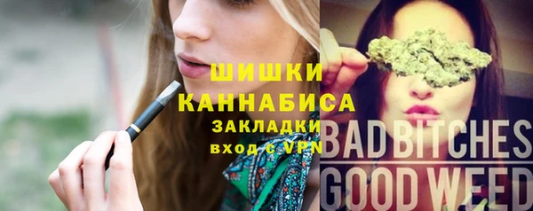 Альфа ПВП Дмитров