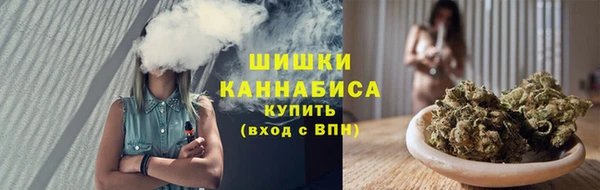бутират Дмитриев
