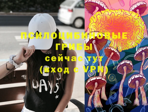 таблы Дмитровск