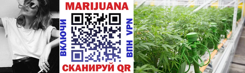 Шишки марихуана SATIVA & INDICA  Нефтекамск 